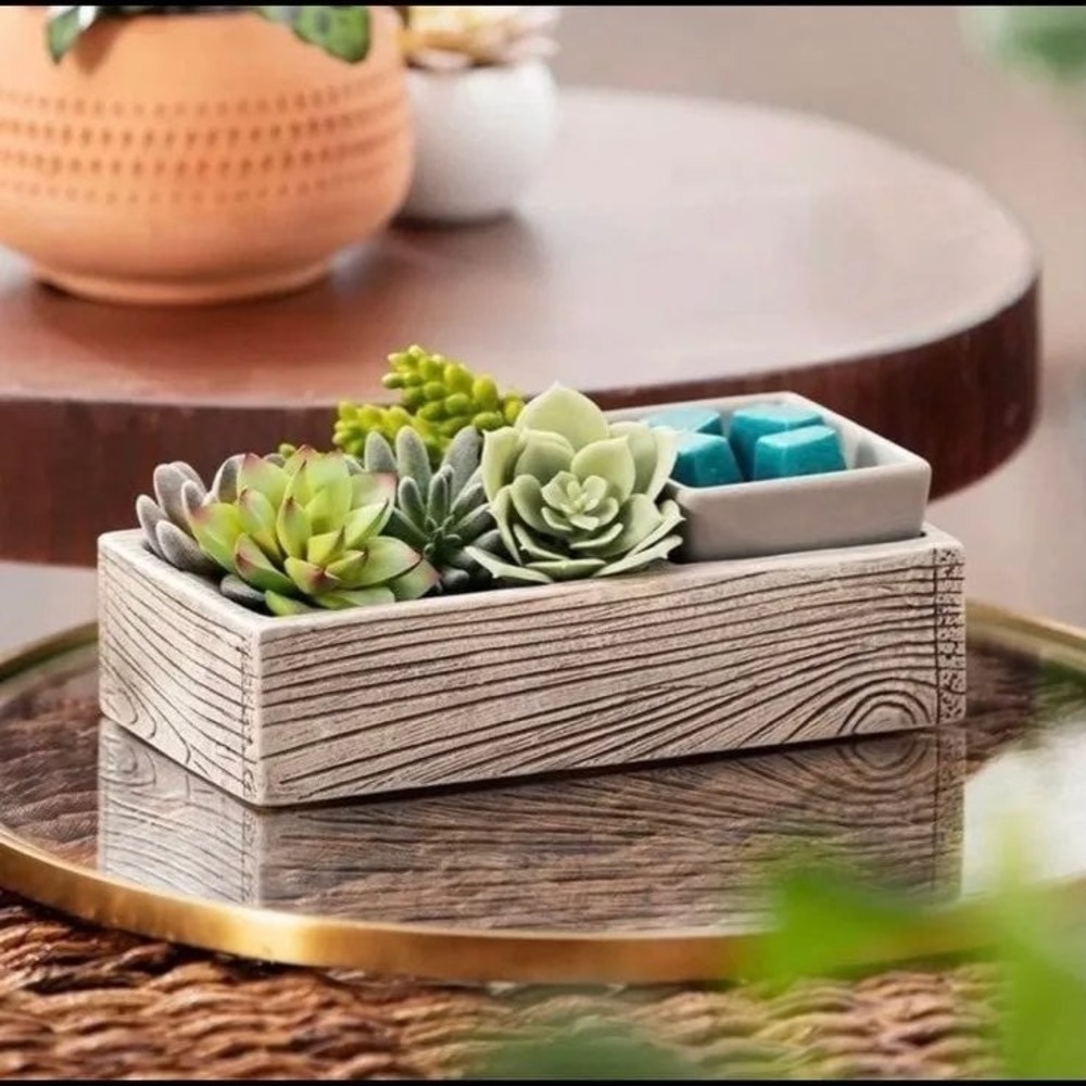 Succulent Scentsy Warmer ~ free shipping!